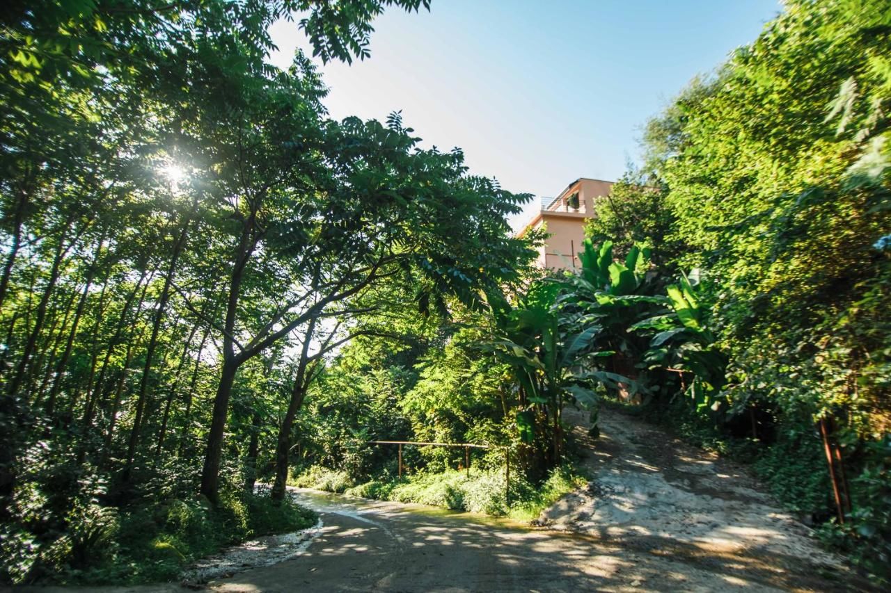 Отели типа «постель и завтрак» Hotel in Nature/Отель в природе Батуми-6